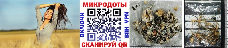 Галлюциногенные грибы мухоморы  OMG зеркало  Кандалакша  купить наркотик 